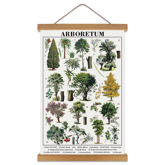 KAIRNE Vintage Tree Wall Art,Plant Canvas Poster, Tree Identification Poster Chart(28X45cm), Botanical Forest Wall Decor,Illustrative Reference Chart for Living Room Bedroom Office Decor,Framed