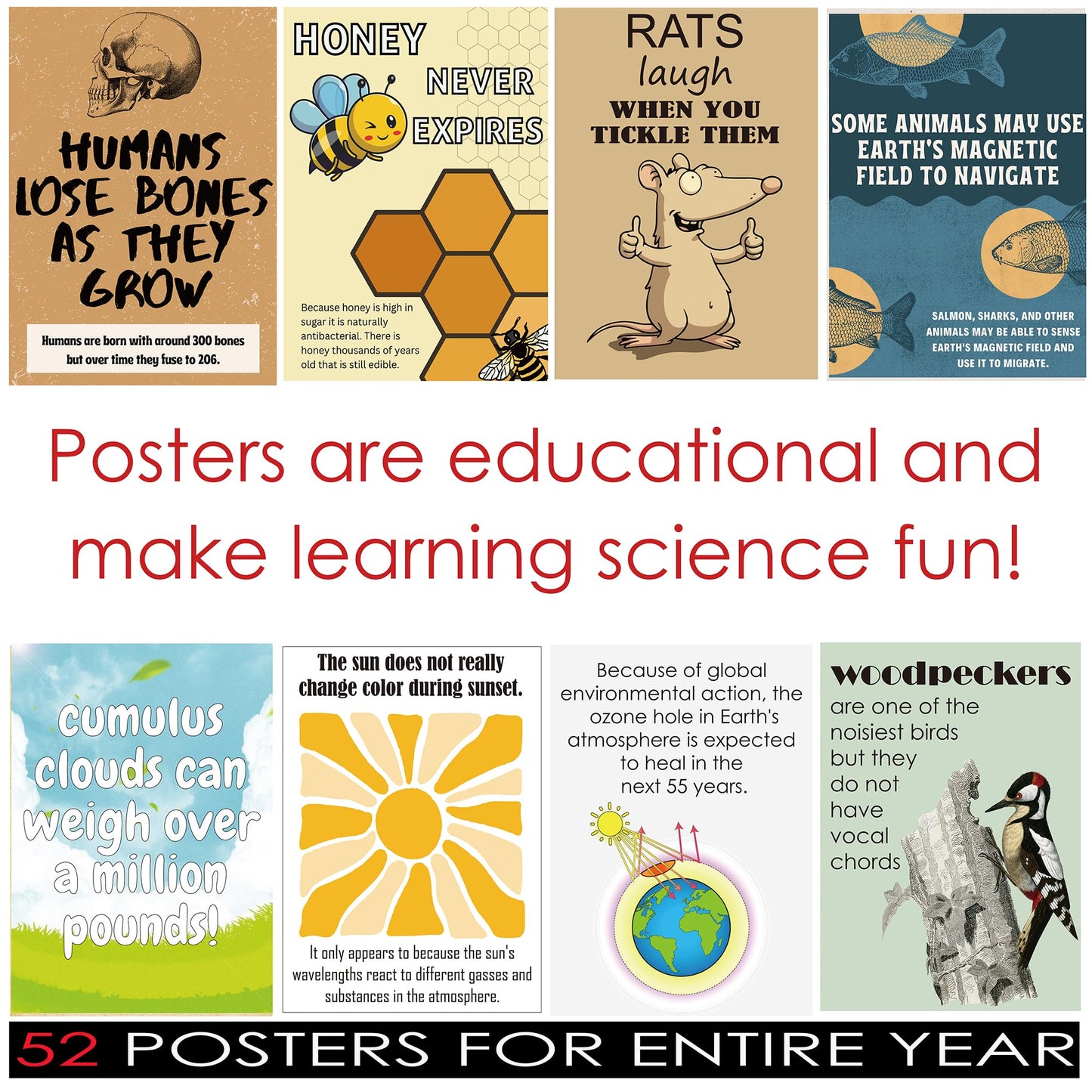 Magictodoor Weird Science Funny Fact Posters - 52 Classroom Decor Set for Bulletin Board & STEM Education