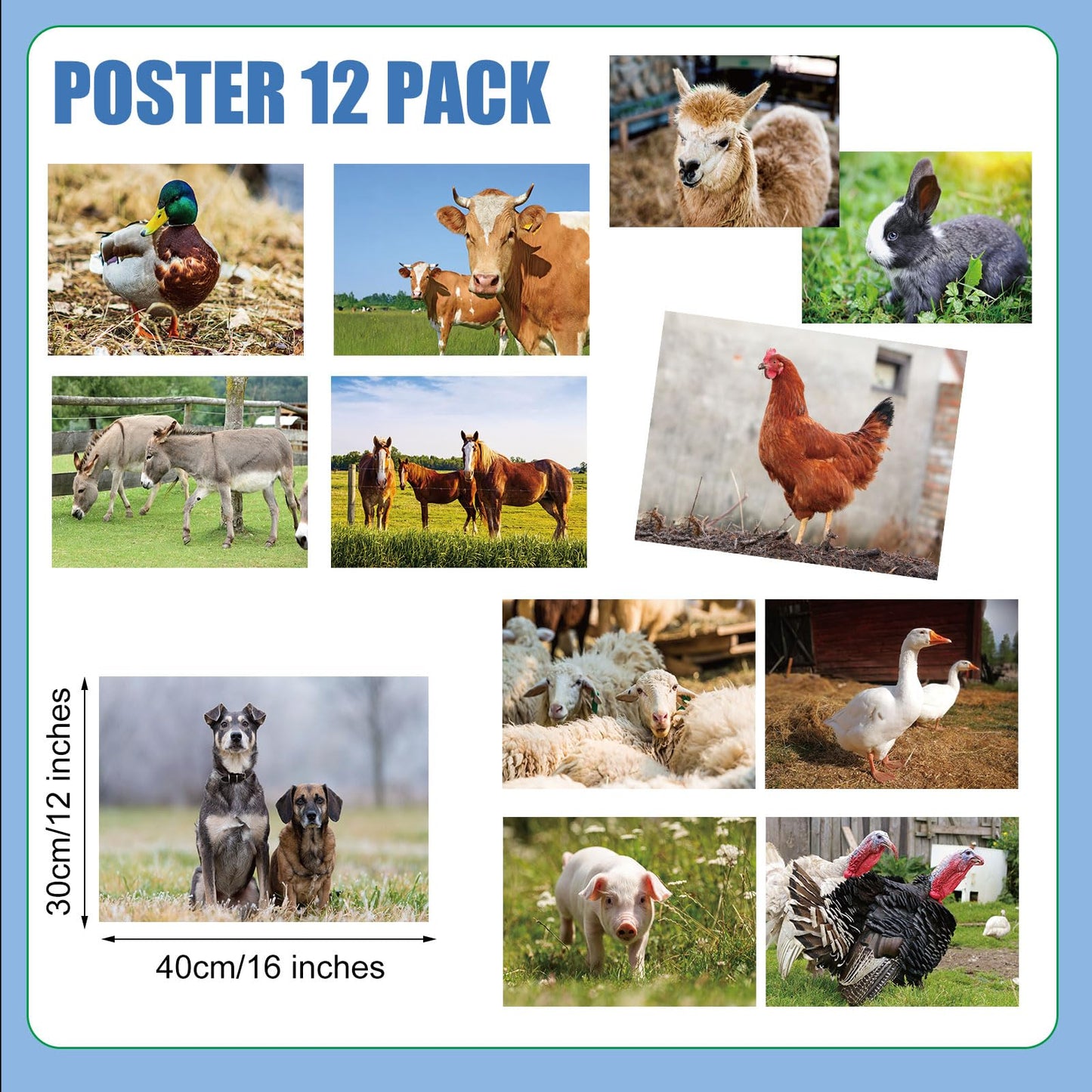 Motiskyy 12 Pcs Diversity Posters for Classroom Preschool Educational Learning Real Pictures for Daycare Home Multicultural Awareness(Farm Style)