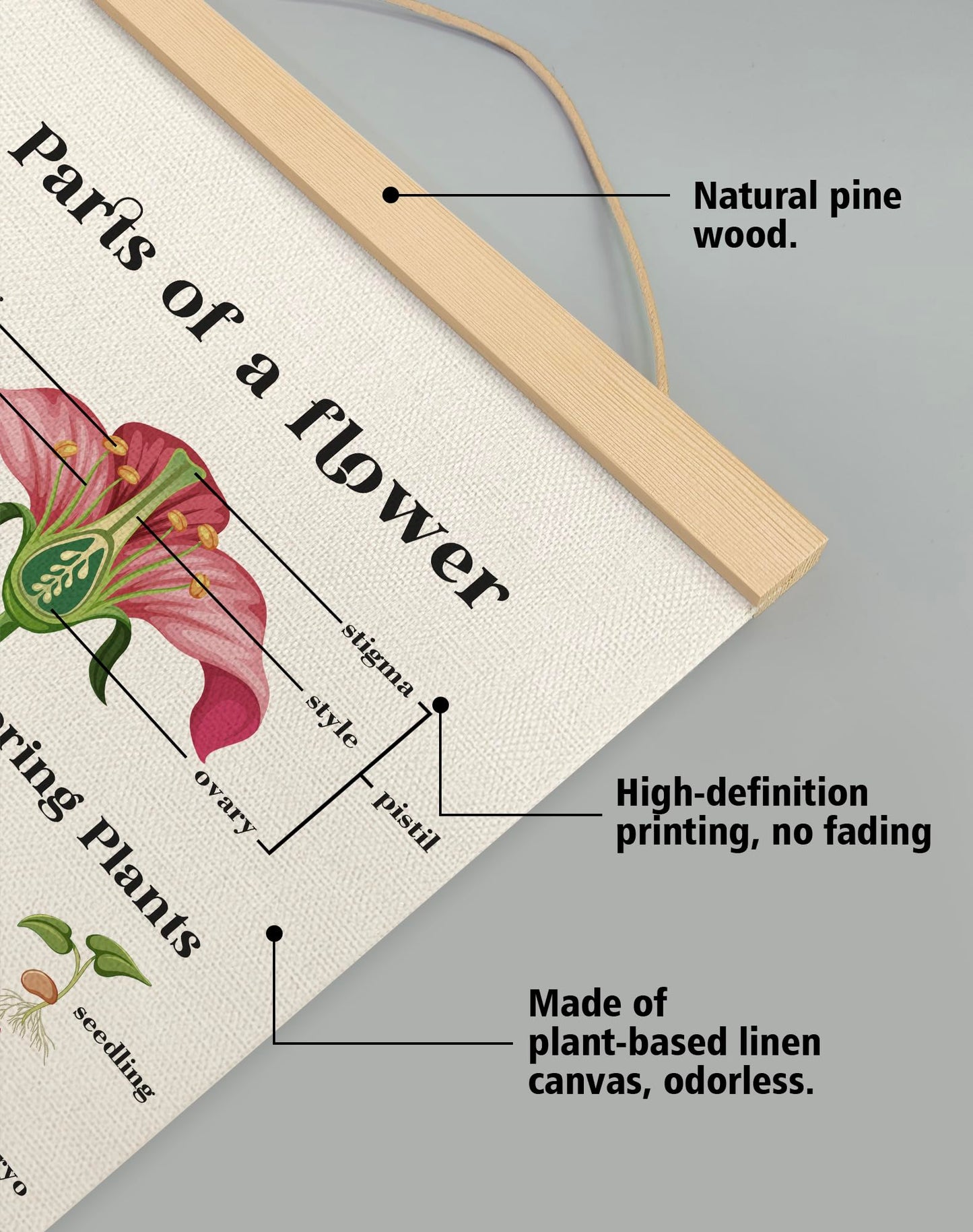 Parts of a Flower Educational Cognitive Poster,14x18.5 Inch Linen Canvas Wall Chart Plants Flower Structure and Pollination Science Learning Decor for Classroom, Homeschool ,Kids Room Decor (Pink-Flower)