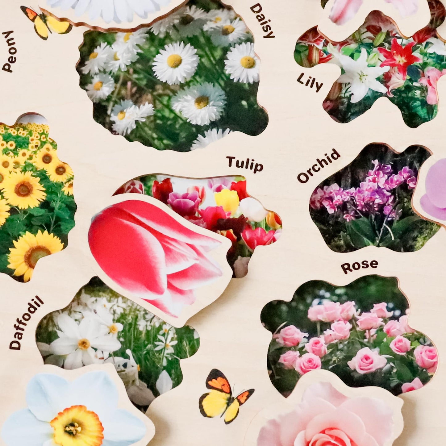 QUOKKA Wooden Puzzles for Toddlers 2-4 – 3X Set Montessori Toys Puzzles for Kids Ages 3-5 – Wood Educational Baby Game 12-18 Months – Gift Learning Mushrooms Flowers Leaves for Boy and Girl 3-5