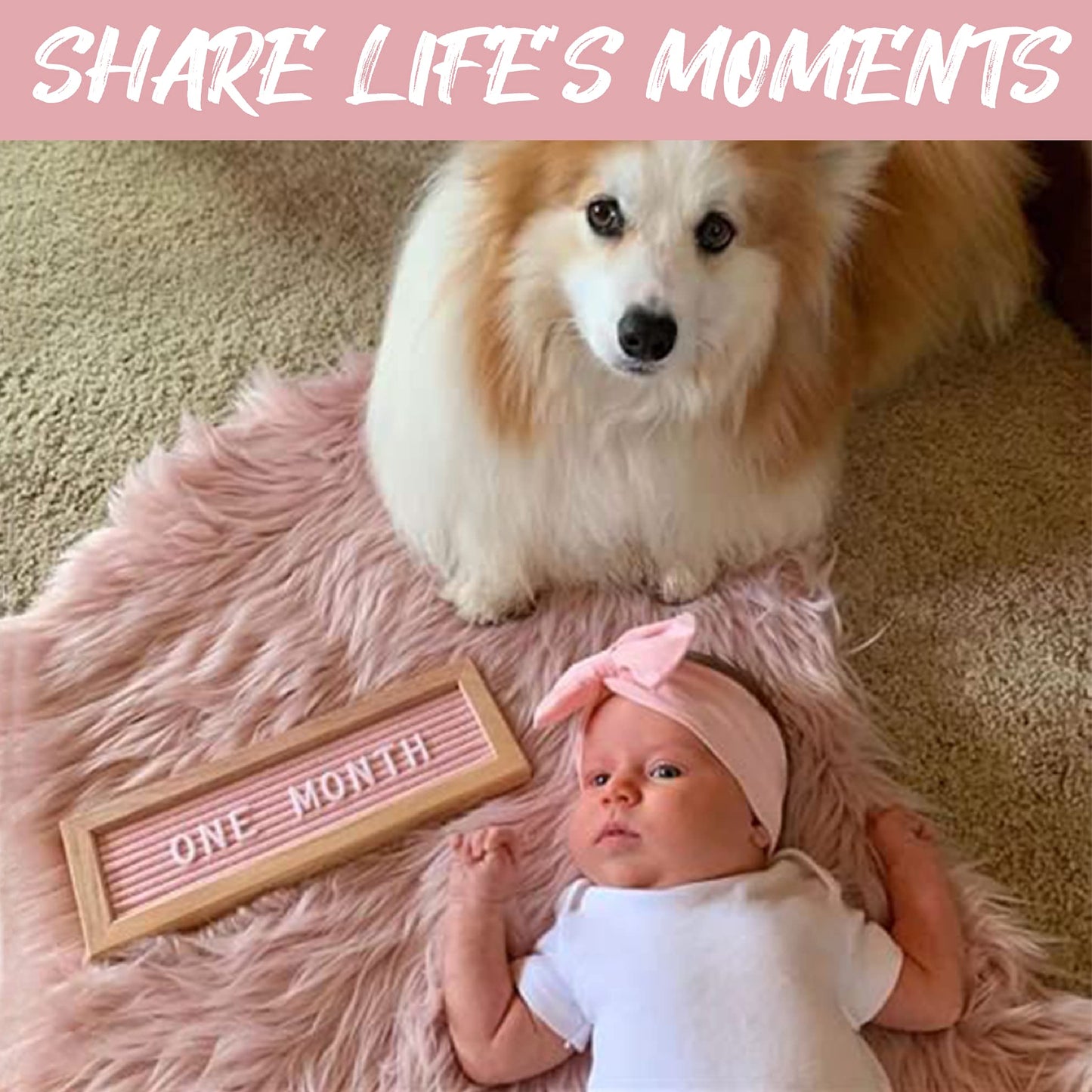 Felt Like Sharing Small Letter Board (Light Pink Felt - 10”x3.5”) – Changeable Message Board with 3 Sets of Felt Board Letters for Home & Aesthetic Room Decor – Wall Letterboard Signs In Oak Frame