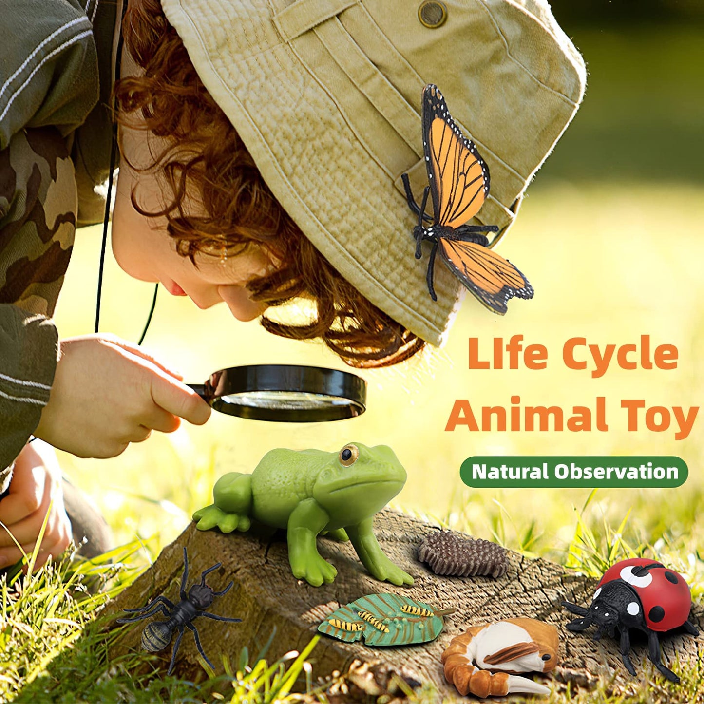 MIKNEKE Montessori Life Cycle Animal Figures with Flash Cards, Realistic Animal Figurines Toy, Educational Matching Game for 3+ Year Old Toddlers Kids (Ladybug)