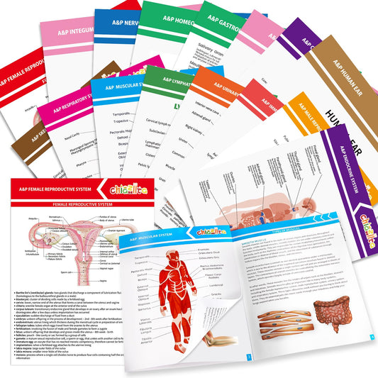 chiazllta 16 Pack Anatomy & Physiology Study Guides Set Human Body Systems Anatomy Study Tools Educational Charts Nursing School Success Bundle for Paramedic Medical School Students