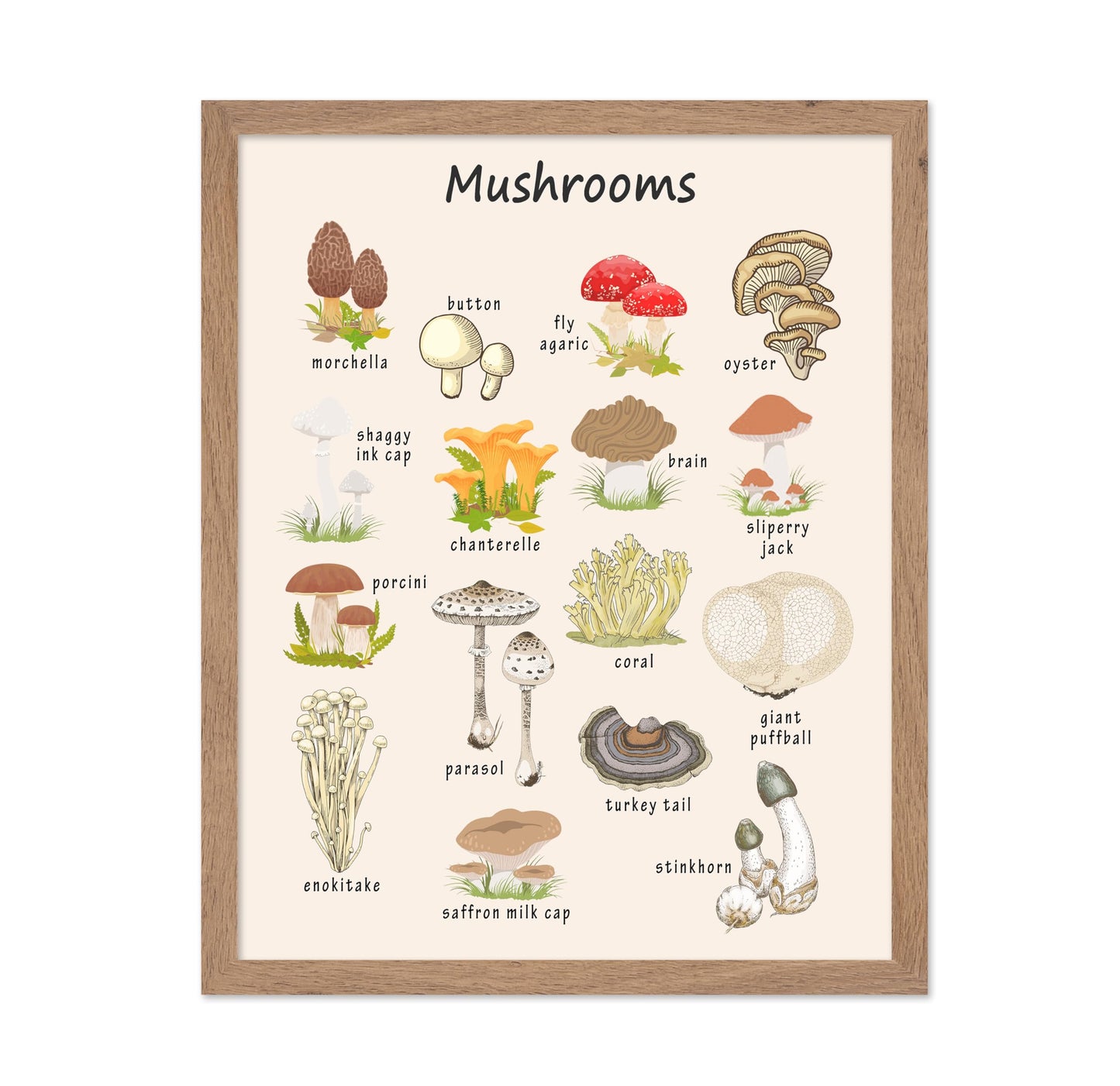 Poster Master Mushroom Print - Botanical Poster - Learning Materials Art - Educational Wall Design - Gift for Students & Teacher - Decor for Classroom, Library or Nursery - 11x14 Beige Framed