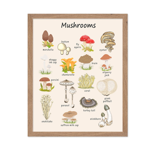 Poster Master Mushroom Print - Botanical Poster - Learning Materials Art - Educational Wall Design - Gift for Students & Teacher - Decor for Classroom, Library or Nursery - 11x14 Beige Framed