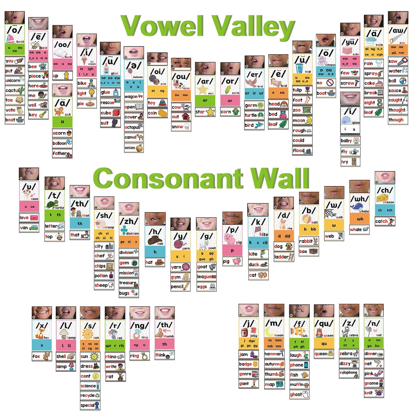 Gersoniel 220 Pcs Sound Wall Classroom Neutral Phonics Kits Science of Reading Posters for Classroom Consonant and Vowel Valley Decor Speech Material,Phonemic Awareness,Esl Teaching Material(Lovely)