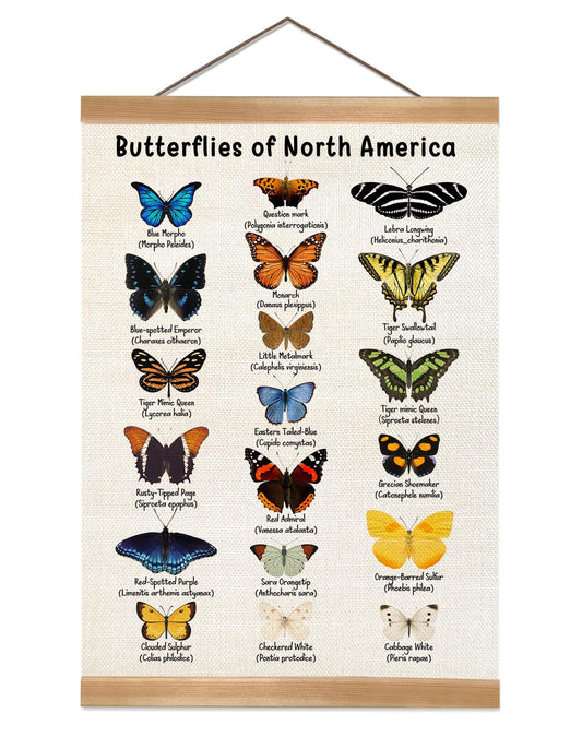 Vintage Butterfly Poster, North American Butterfly Wall Decor,Educational Linen Wall Art with Wood Frame, Nature Learning Hanging Banner for Homeschool, Classroom, Nursery, or Playroom Decor,12x16inch