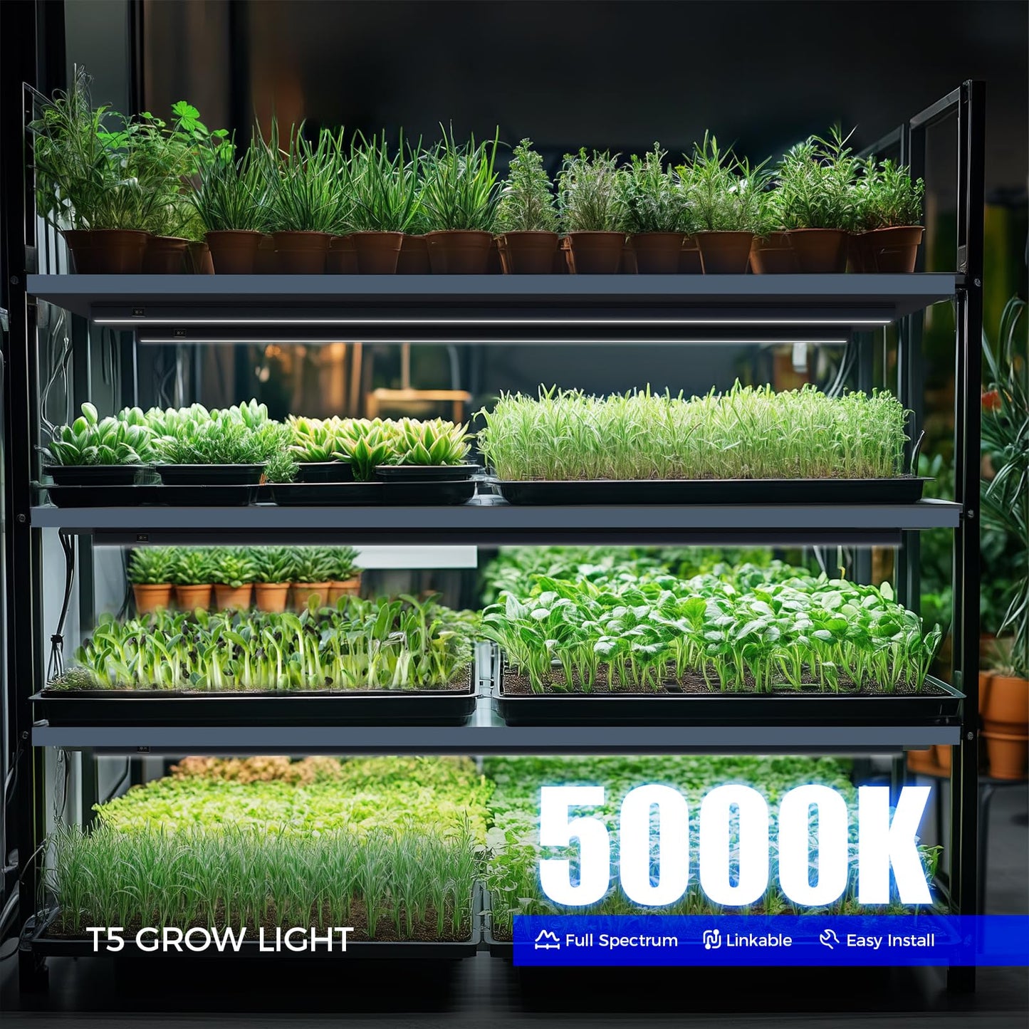 Barrina T5 Plant Lights, 128W Full Spectrum Grow Light Strip, 3FT Black Cover, Magnetic Design, 8 Packs