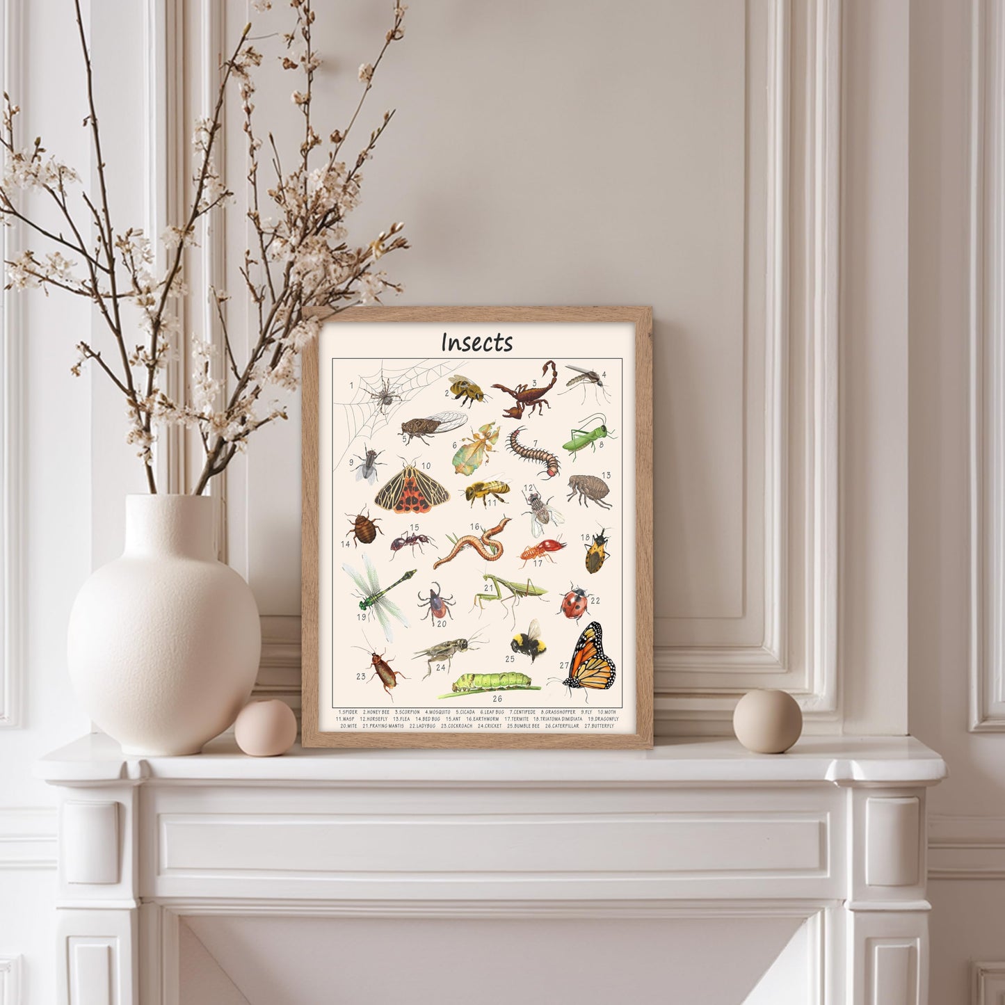 Poster Master Insects Poster - Educational Print - Learning Materials Art - Animal Art - Gift for Kids, Students & Teacher - Great Decor for Playroom, Classroom or Library, 11x14 Beige Framed