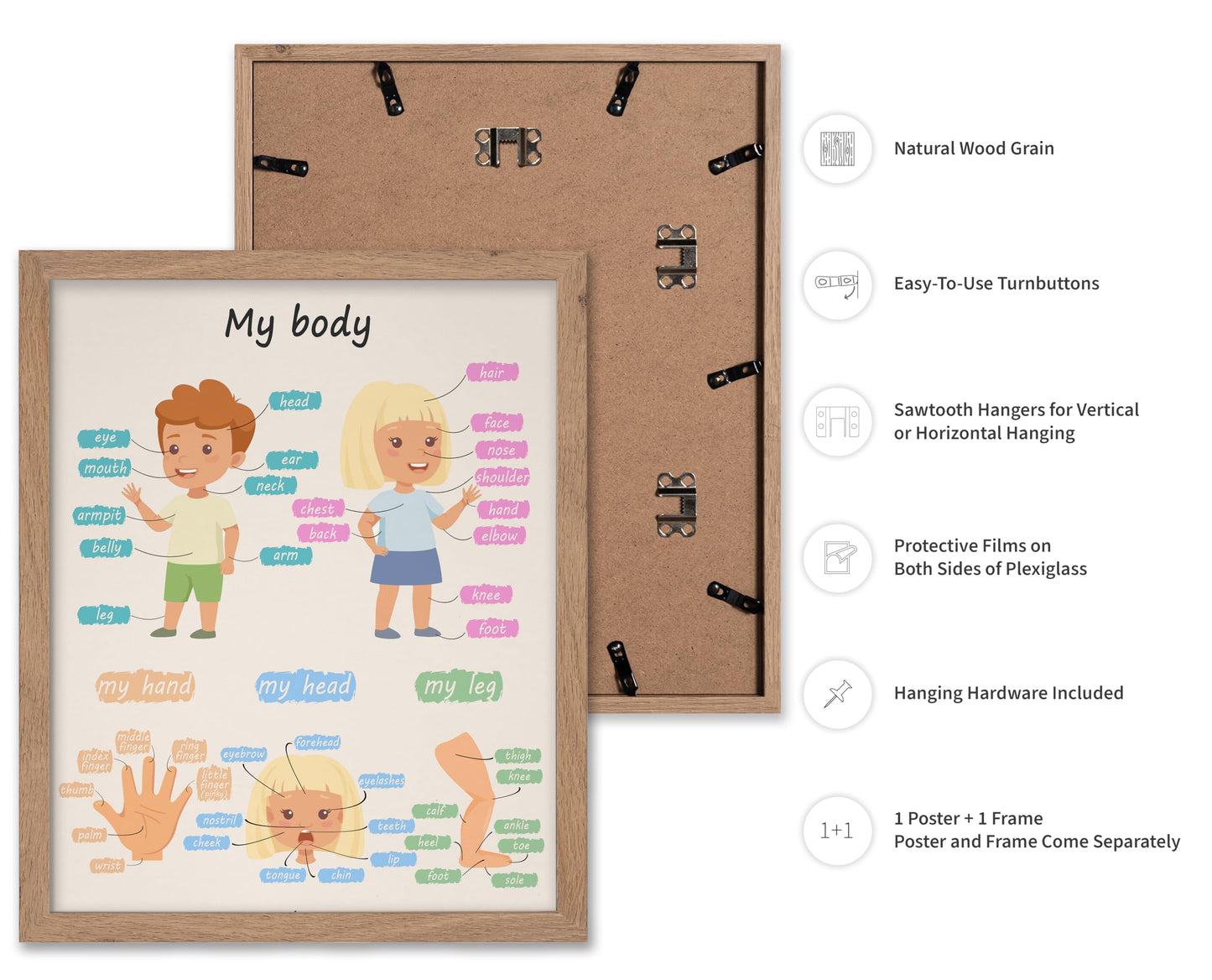 Poster Master My Body Poster - Body Parts Print - Learning Materials Art - Educational Art - Gift for Kids, Students & Teacher - Wall Decor for Playroom, Classroom or Library, 11x14 Beige Framed
