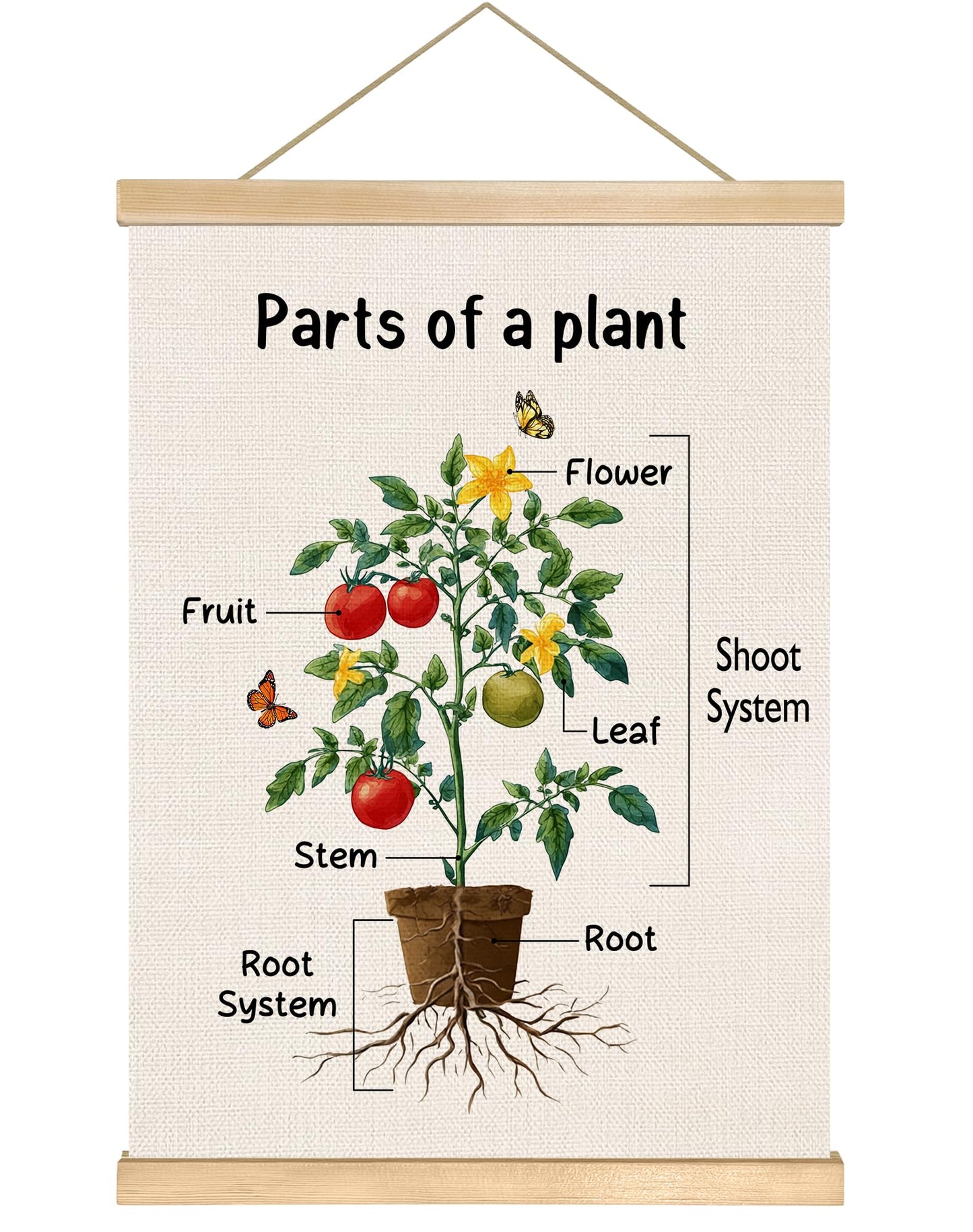 Parts of a Plant Educational Poster,14x18.5 Inch Linen Canvas Wall Botanical Chart Hanging Poster, Science Learning Classroom, Nursery, Homeschool,Kids Room Decoration (Green-Parts of a plant)