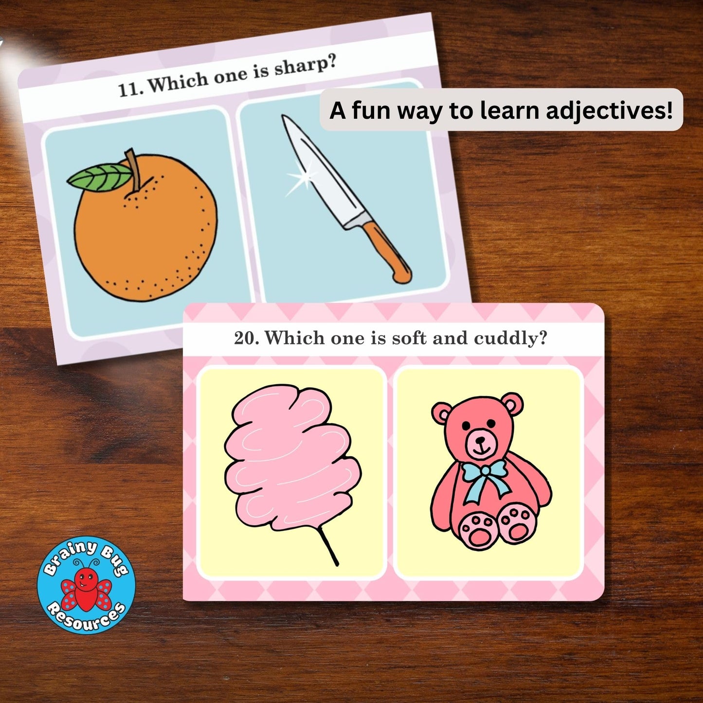 Brainy Bug Resources Verbal Reasoning Language Flash Cards for Kids | Q&A Learning Deck for ESL, Home Schooling & Special Needs | Parent and Professional Use