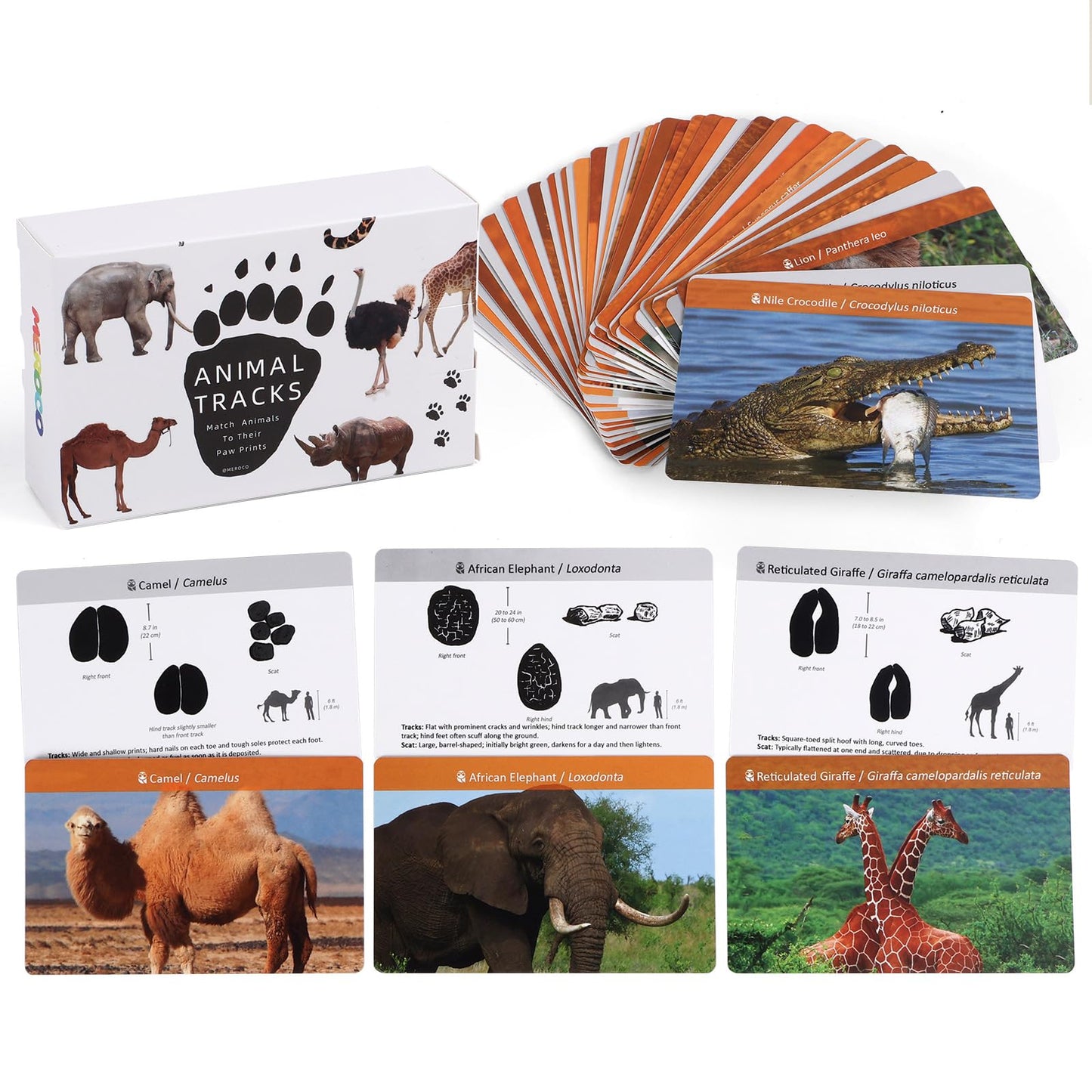MEROCO Safari Animal Tracks Cards Game,Animal Flash Cards,Animal Tracks Matching Game,Kids Science Learning Educational Toys Homeschool Preschool Autism Learning Materials