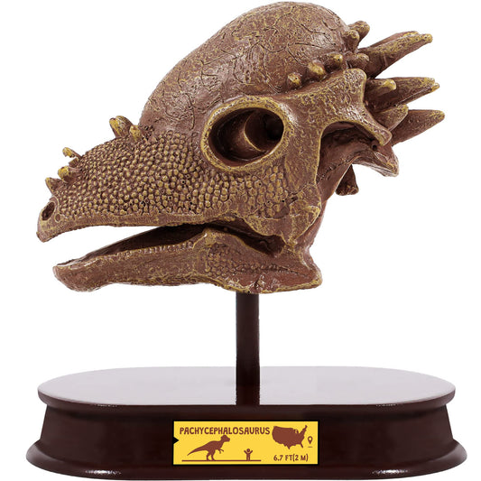 ArtCreativity Dinosaur Excavation Kit for Kids, 5.5” Pachycephalosaurs Skull Excavating Set with Fossil Digging Tools and Stand, Fun Science Activity Toy, Educational Dinosaur Gift for Boys and Girls