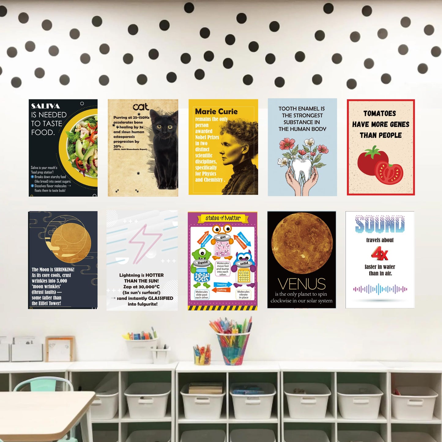 1step2dream Funny Science Posters for Elementary Classroom - Weird Educational Bulletin Board Decor with Amazing Facts - Inspire Students with Thought Provoking STEM Displays