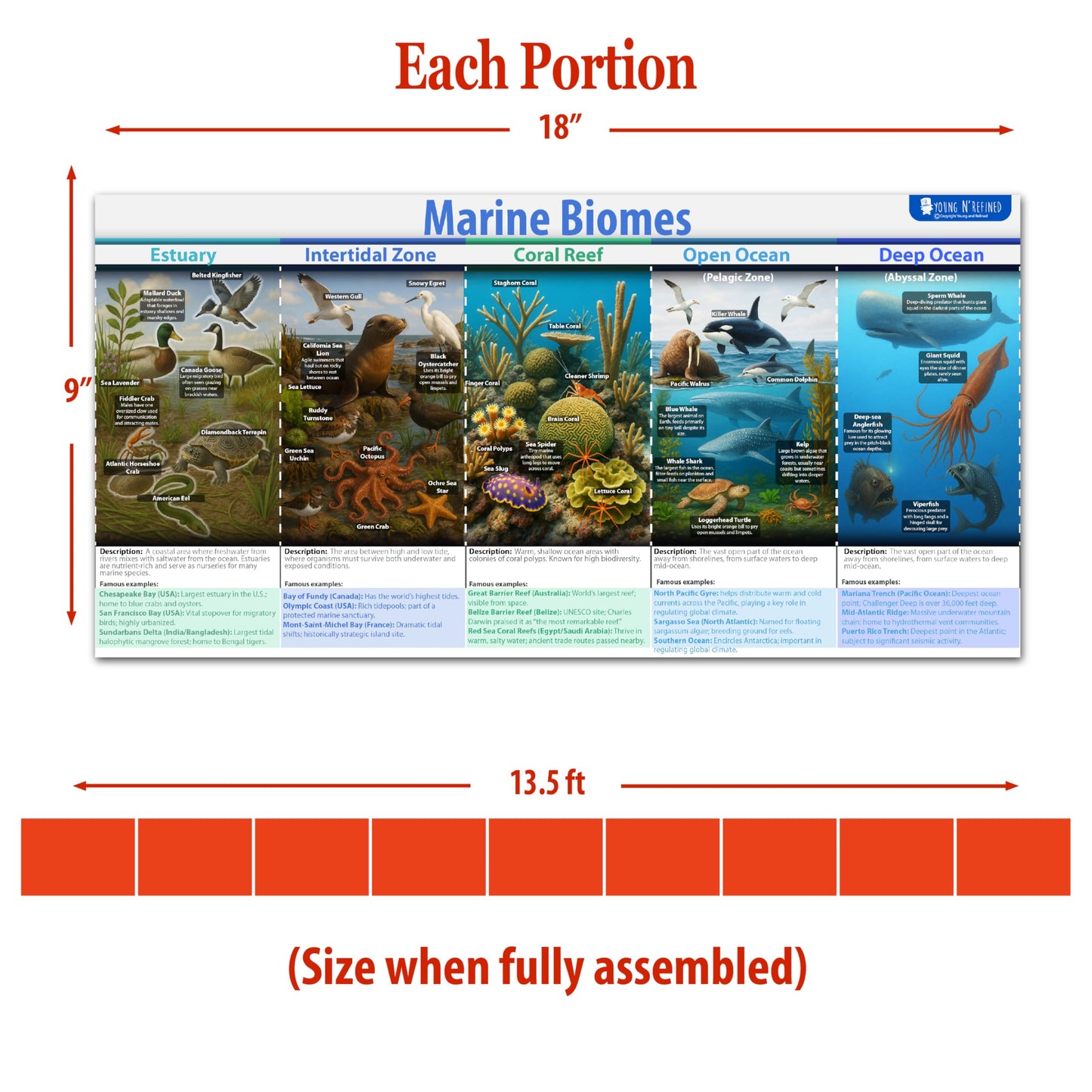 Earths Habitats ecosystem Line bulletin board set, 9 charts pack Glossy Paper (9"x18") Young N Refined