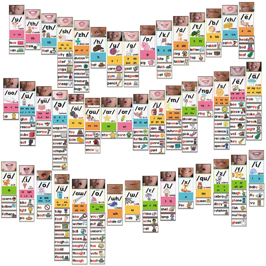 Gersoniel 220 Pcs Sound Wall Classroom Neutral Phonics Kits Science of Reading Posters for Classroom Consonant and Vowel Valley Decor Speech Material,Phonemic Awareness,Esl Teaching Material(Lovely)