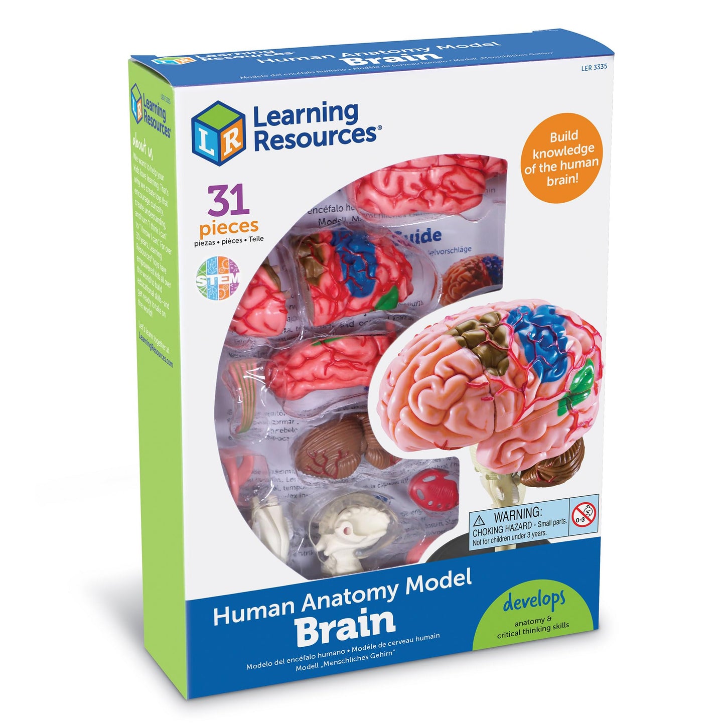 Learning Resources Brain Model - Anatomy and Science Classroom Must Haves, Neuro Health and Human Body Model, STEM Study Tools, Back to School Kits, Homeschool Gifts for Students