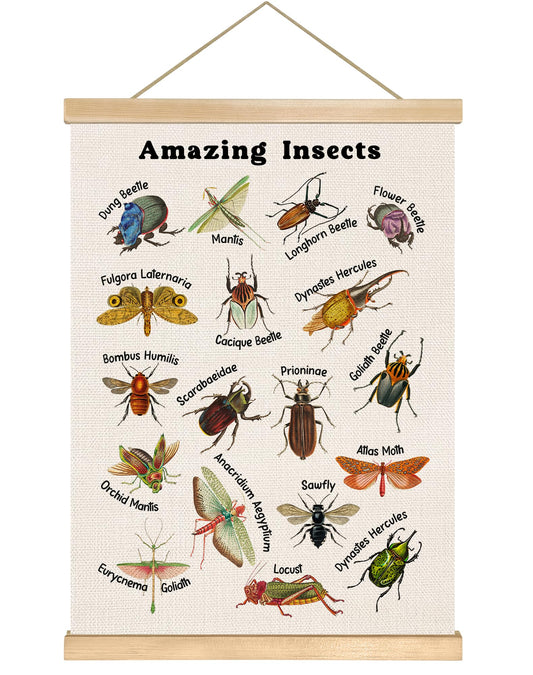 Amazing Insects Linen Canvas Wall Art Poster,18.5x14 Inch Educational Bug and Beetle Learning Chart,Nature Science Classroom Wall Decor,Vintage Biology Illustration for Playroom or Nursery,Kids Room Deocr for Insects Lover