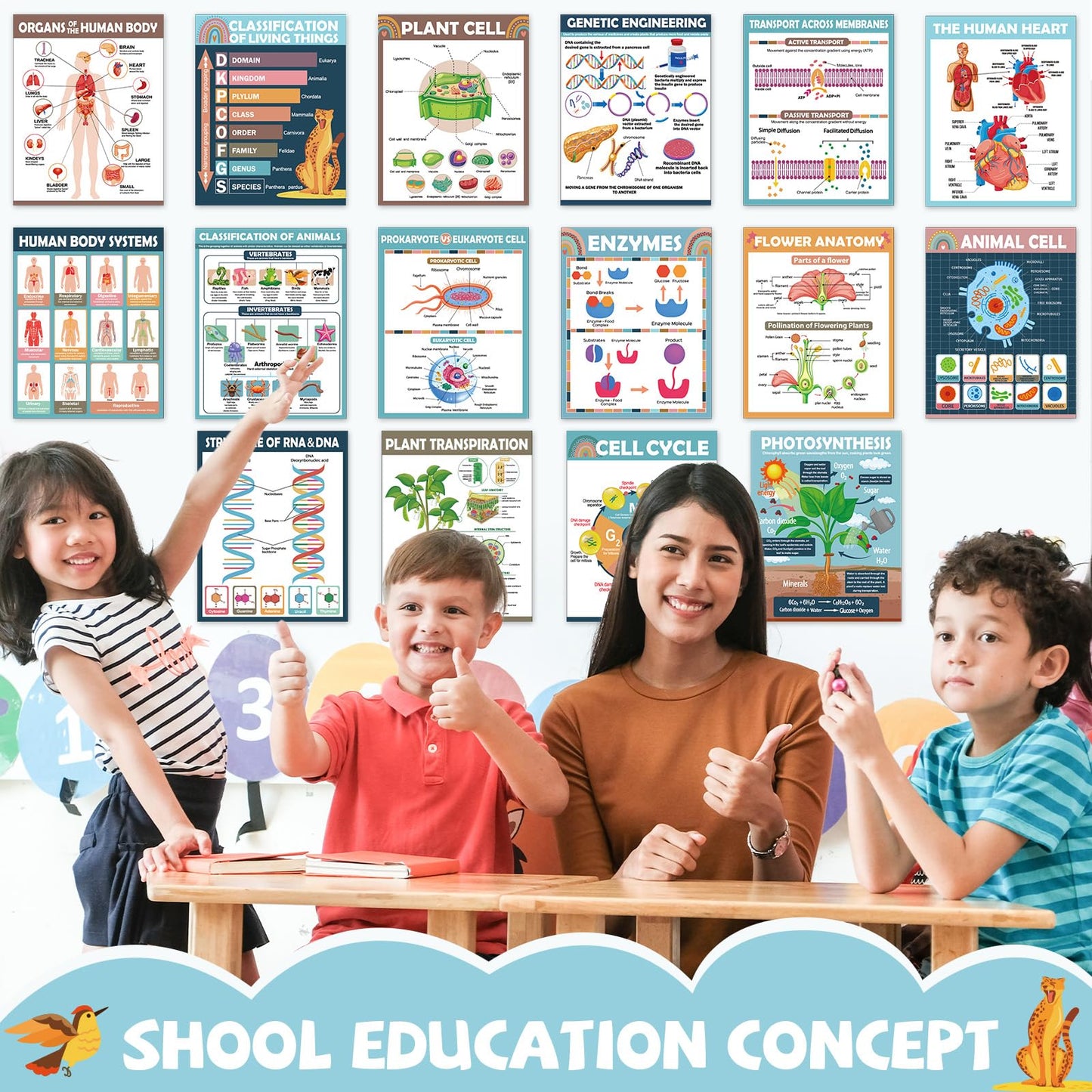 16Pcs Boho Science Posters for Classroom Middle School Supplies Biology Poster Classroom Decoration Life Science Posters Charts for Teachers High School Education Bulletin Wall Decor