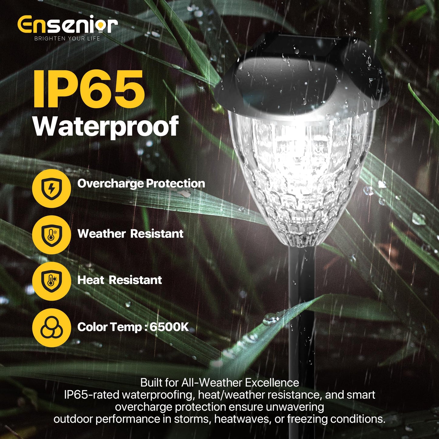 Ensenior 12-Pack Solar Garden Lights, Cool White LED, Auto ON/OFF, Waterproof, Plastic, Model CP3-10CM-65K-12-BL-ZY-M02