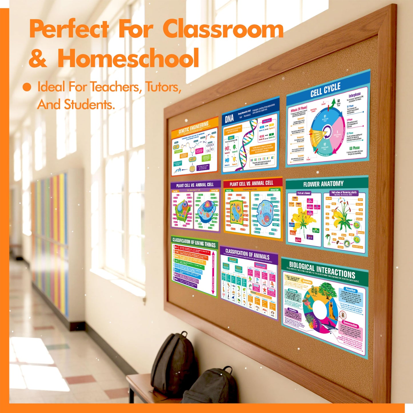 17 Laminated Biology Posters, Human Body System, Cell Anatomy, DNA, Photosynthesis, Educational Science Charts For Middle & High School, Learning Tool For Classroom, Bulletin Board, Room, 11”x16”
