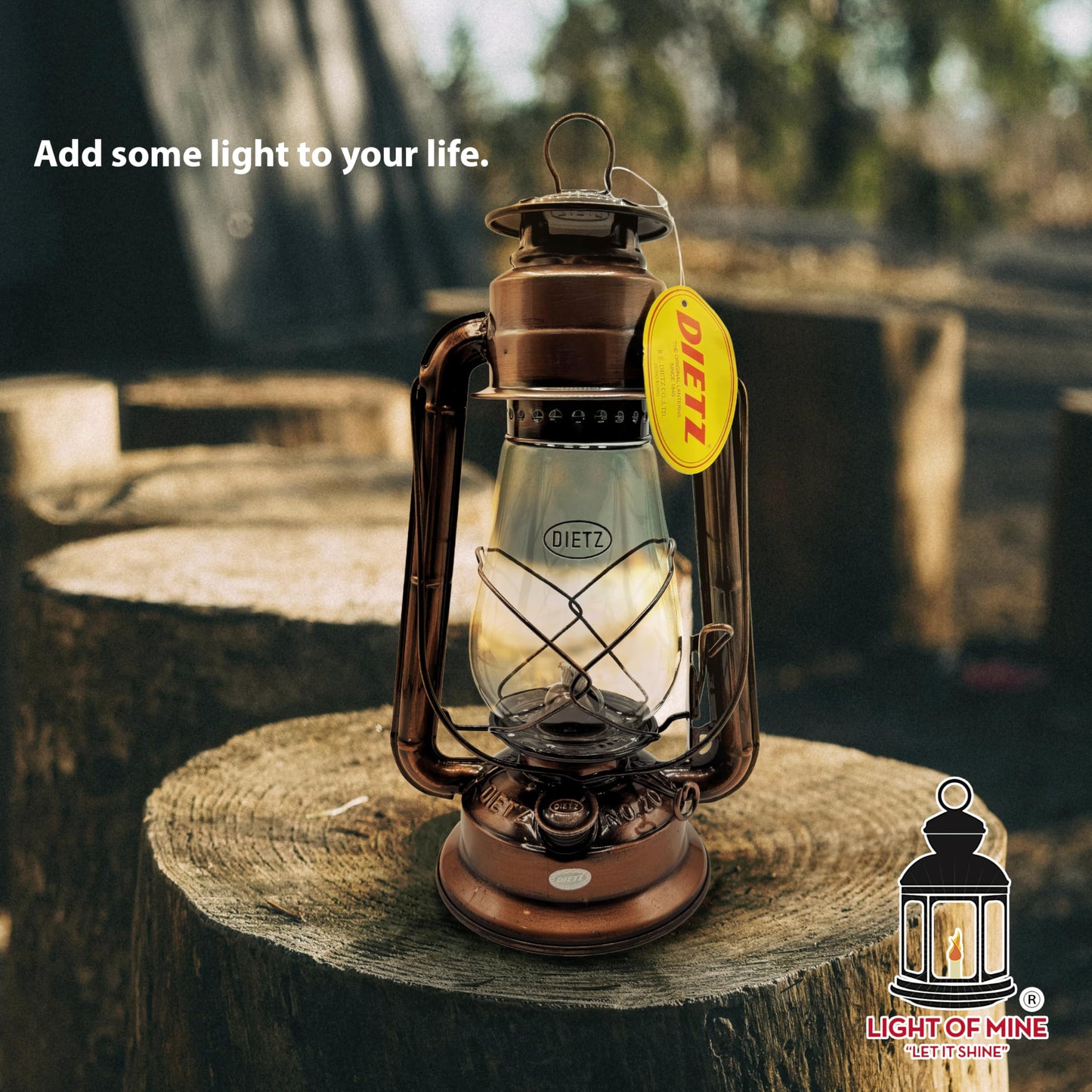 LIGHT OF MINE Oil Lantern - Dietz #20 Junior, Bronze, Borosilicate Glass, 100% Cotton Replacement Wick Strips