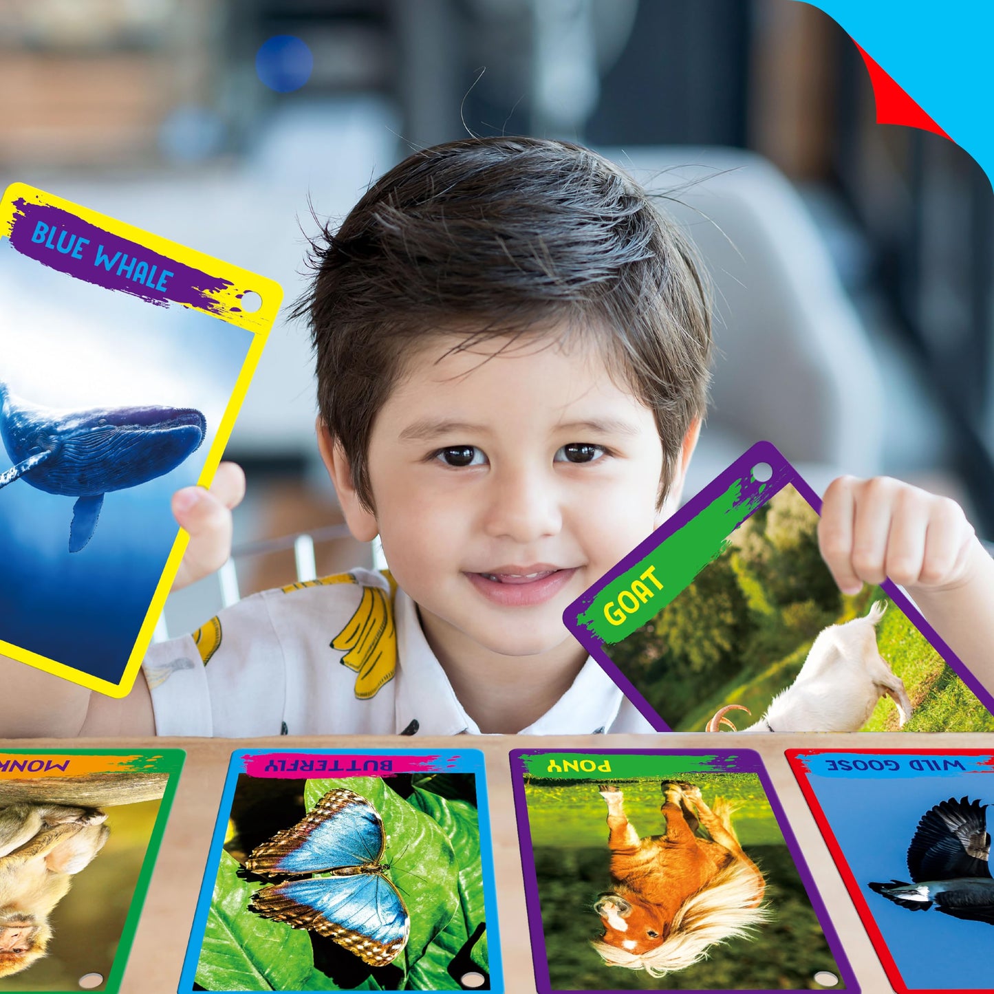 My First 120 Animals, 60PCS Realistic Zoo Animal Cards Farm/Wild/Marine Animals/Insects/Birds Flashcards Montessori & Science Educational Toys Preschool Learning for Homeschool Preschool Toddler Kids