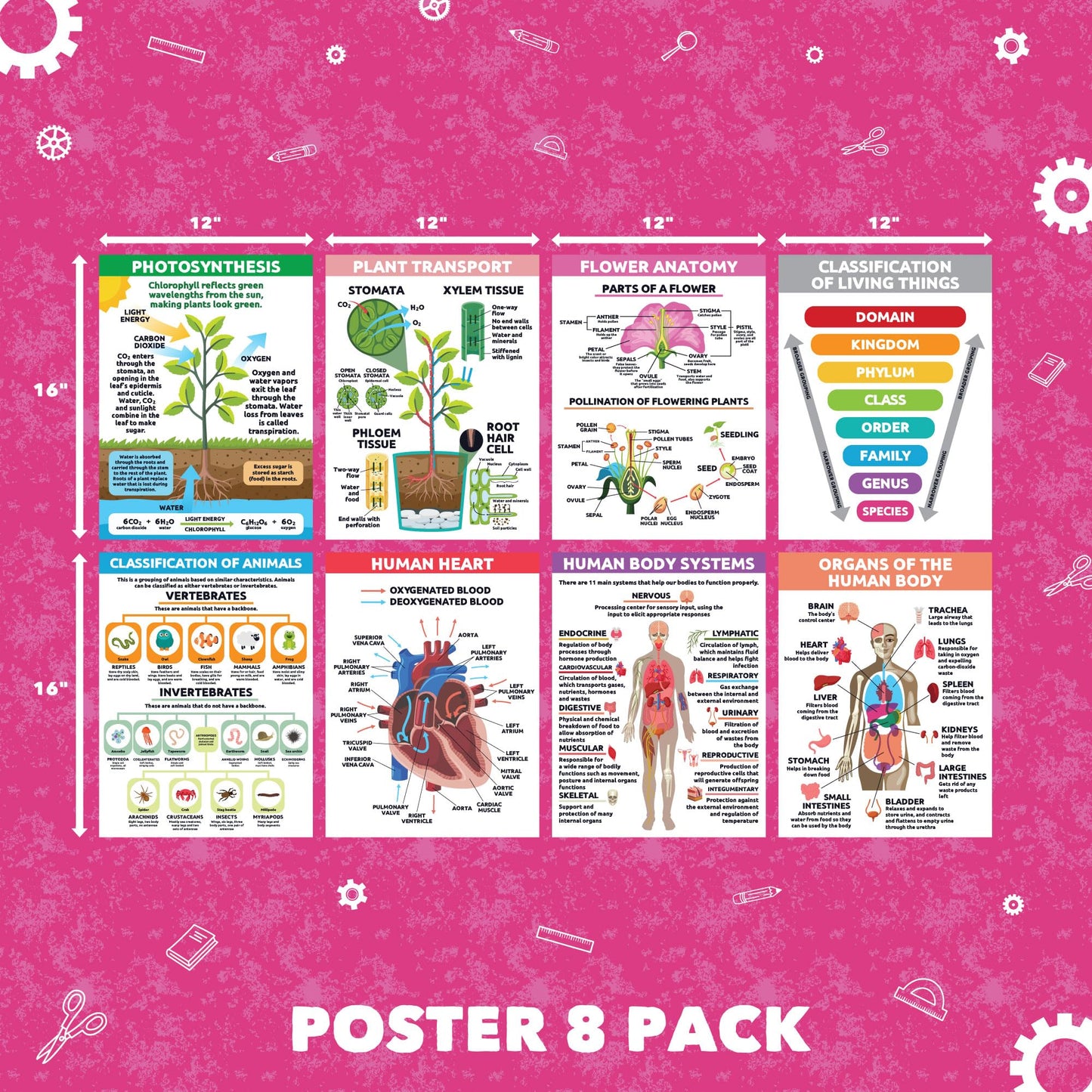 Sproutbrite 8 Pack 12” x 16” Educational Plant Cells & Human Body Science Posters for Classroom - Biology & Life Science Charts and Wall Decor for Pre, Elementary, Middle & Homeschool - Covers Essential Biology, Human Anatomy, and Life Science Topics