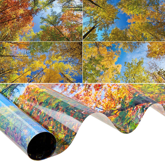 Amylove 4 Pcs Fluorescent Light Covers Classroom Ceiling Panels Light Filters with Backlit Film Material for Office School, 4 x 2 Feet(Modern Color,Fall Trees)