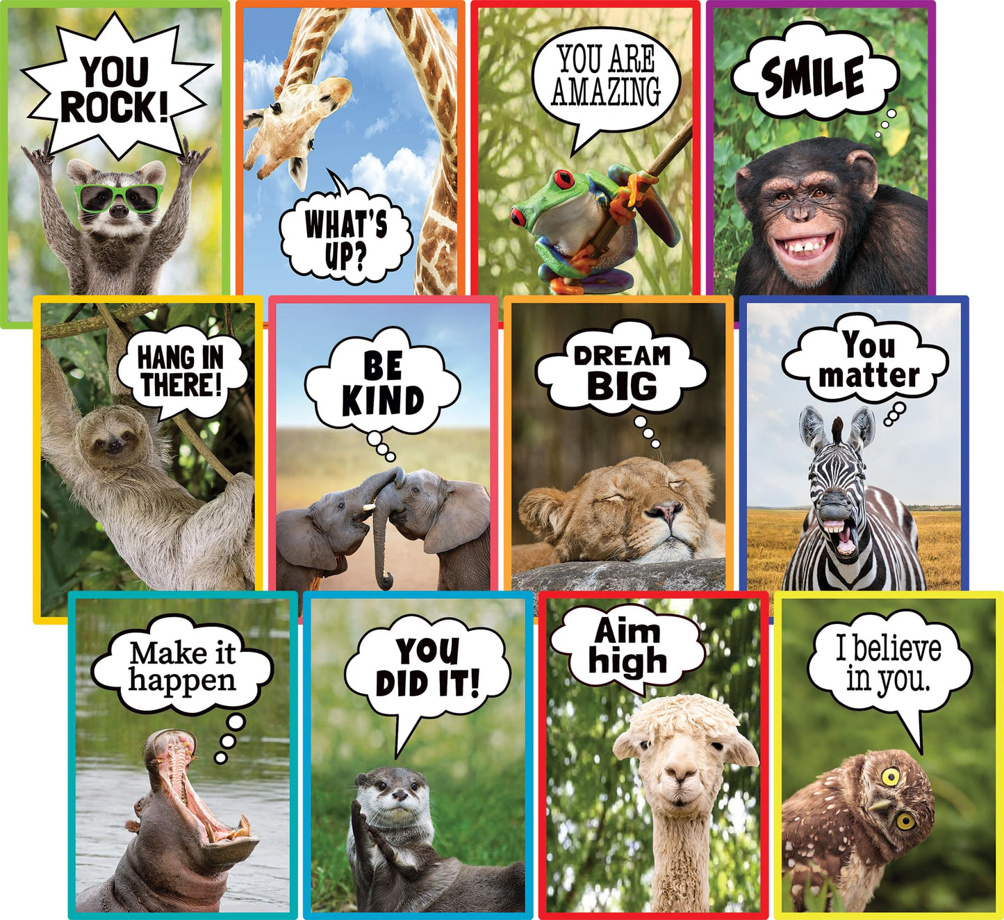 Teacher Created Resources Go Wild Animals Educational Poster Pack (TCR6824)