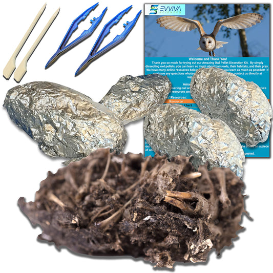 Amazing Owl Pellet Dissection Kit – 5-Piece Pellet Set for Science Lab Projects – w/Tweezers and Wooden Probes – Ideal for Science Projects – Barn Owl eBook Included - Intended for Ages 15 & Older