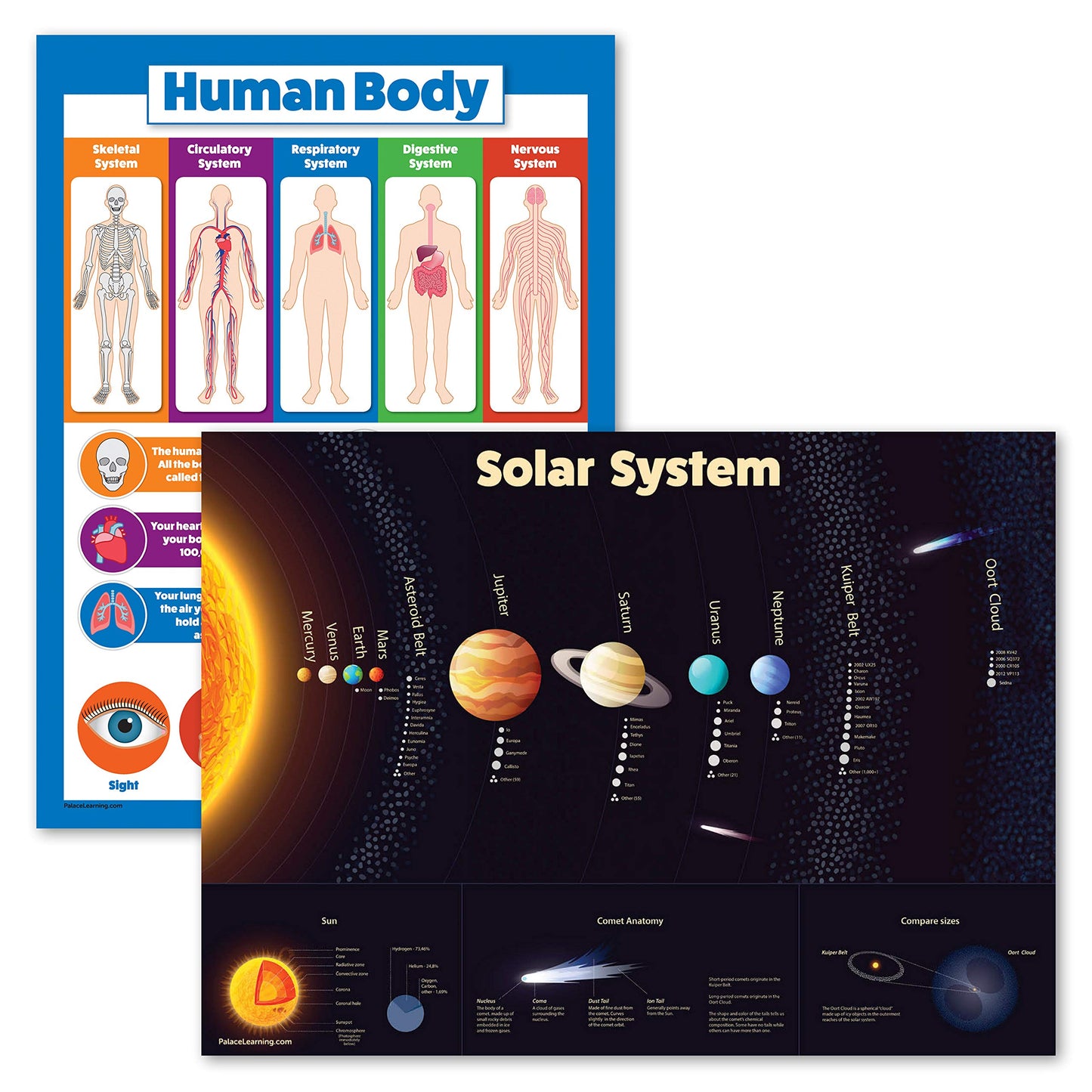 Palace Learning 2 Pack - Solar System Poster for Kids & Understanding the Human Body Chart (LAMINATED, 18" x 24")