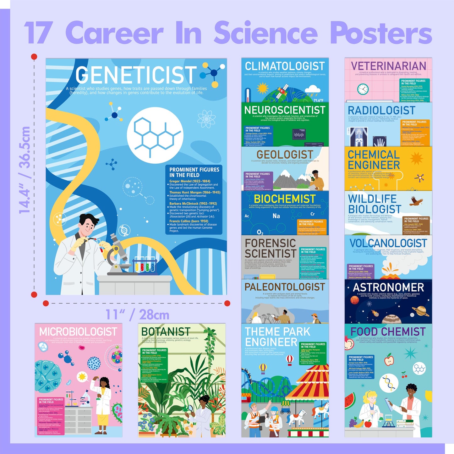 Gethelud 17 Career in Science Posters, PET Laminated Learning Poster, Educational Science Charts For Middle & High School, Great Wall Decor For Classroom, Bulletin Board, Room, 11”x14.4”