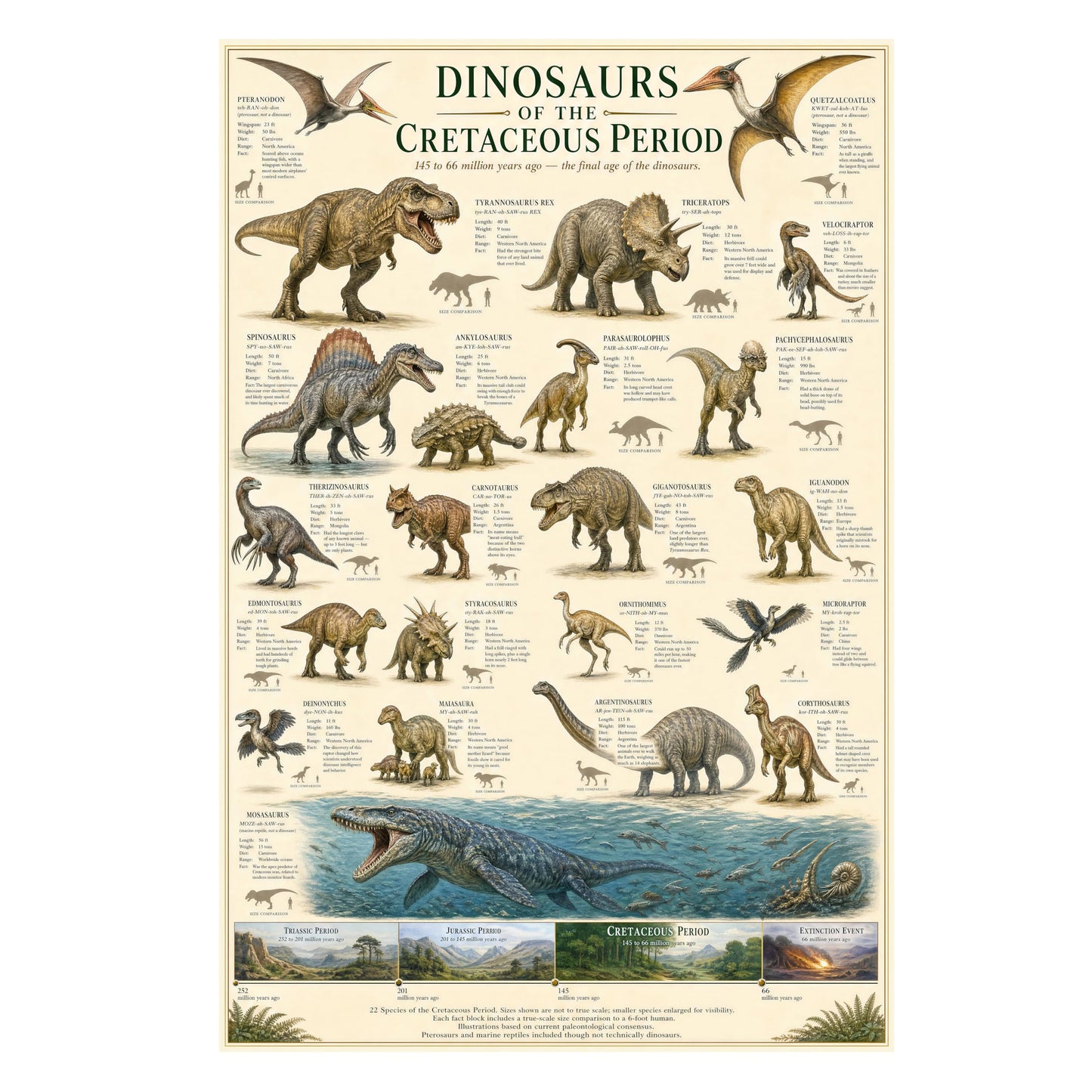 Dinosaurs of the Cretaceous Period Poster 24x36 Unframed Print Educational Dinosaur Chart Wall Art Prehistoric Animal Timeline Paleontology Classroom Decor Science Museum Artwork