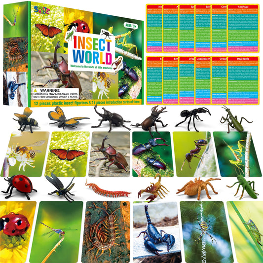 12 PCS Plastic Insect Figurines with 12 Introduction Flashcards, Small Creature Learning Recognition Cards Realistic Bug Models Educational Learning Toy Set for Kids, Classroom