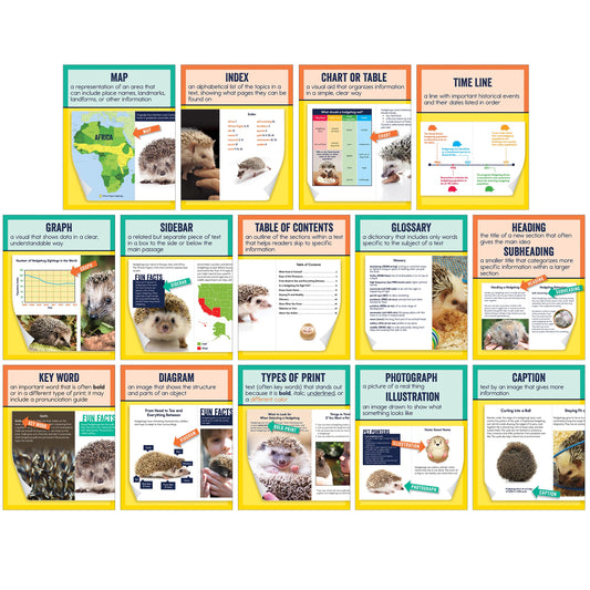 Carson Dellosa 14-Piece Nonfiction Text Posters, 8.5" x 11" Reading Comprehension Wall Decor, Classroom and Office Decorations, English Language Arts Teacher Supplies