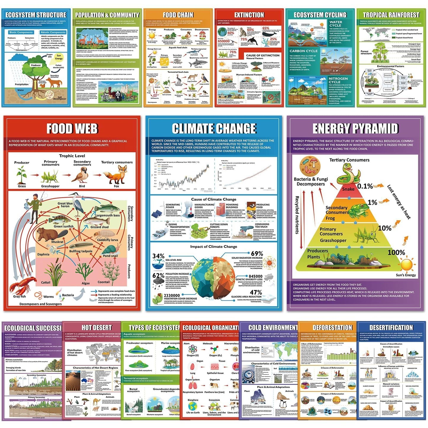 EggSun 16 Pcs Ecosystems Science Posters for High School Classroom Decorations, 11 x 16in Ecology Teaching Charts for Teachers Middle School Supplies Education Classroom Bulletin Board Wall Decor