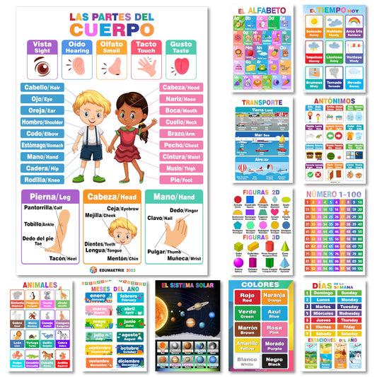 12 Spanish English Bilingual Educational Posters Water Proof Learning Chart for Preschool, Kindergarten, 1st Grade, Classroom Decoration, Alpabet, Alfabeto, Numbers, Seasons, Colors, Month of the