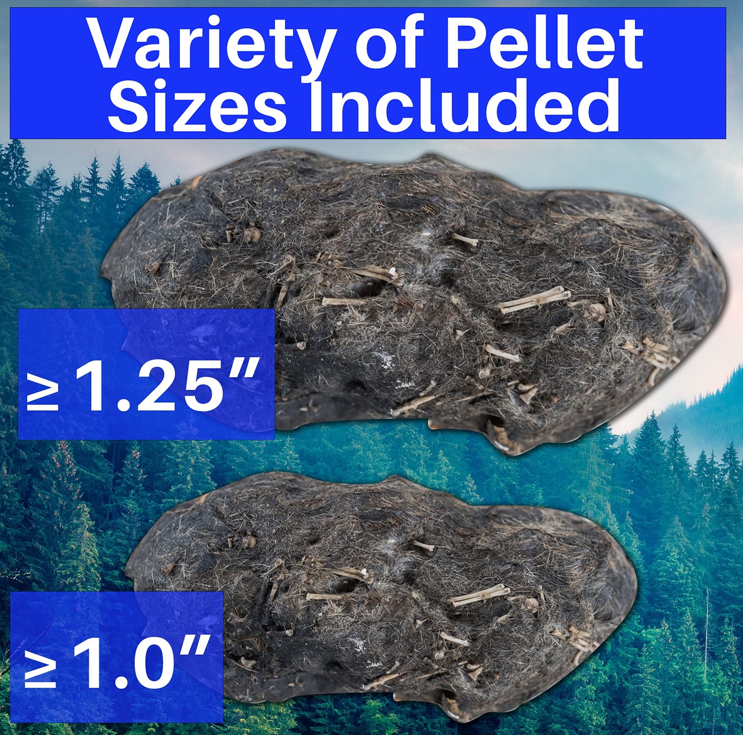 Amazing Owl Pellet Dissection Kit – 5-Piece Pellet Set for Science Lab Projects – w/Tweezers and Wooden Probes – Ideal for Science Projects – Barn Owl eBook Included - Intended for Ages 15 & Older