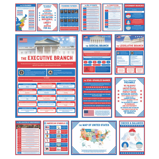 Wallbuddy US Government Educational Classroom Posters Set of 15 | Unframed Government Structure Civics & History Decor | American Teacher Must Have Classroom Essentials High School (12x16)