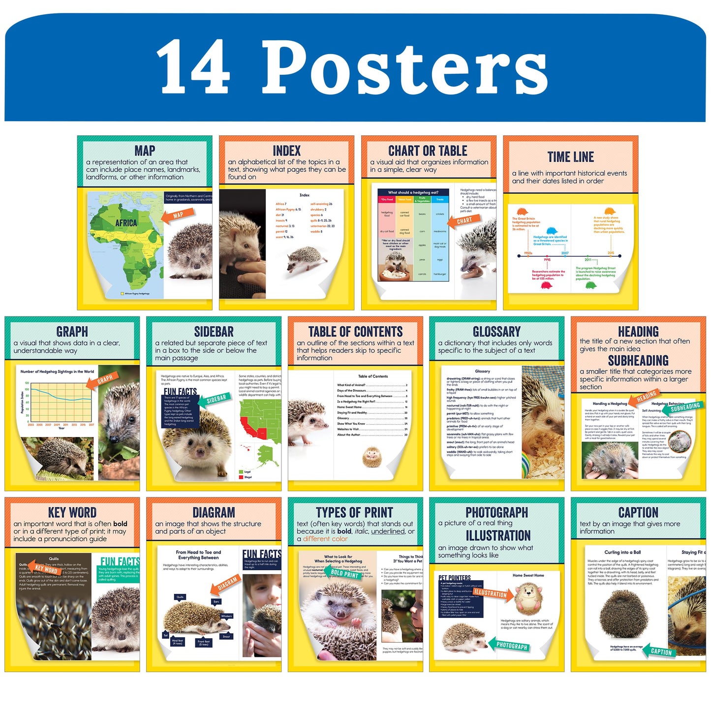 Carson Dellosa 14-Piece Nonfiction Text Posters, 8.5" x 11" Reading Comprehension Wall Decor, Classroom and Office Decorations, English Language Arts Teacher Supplies