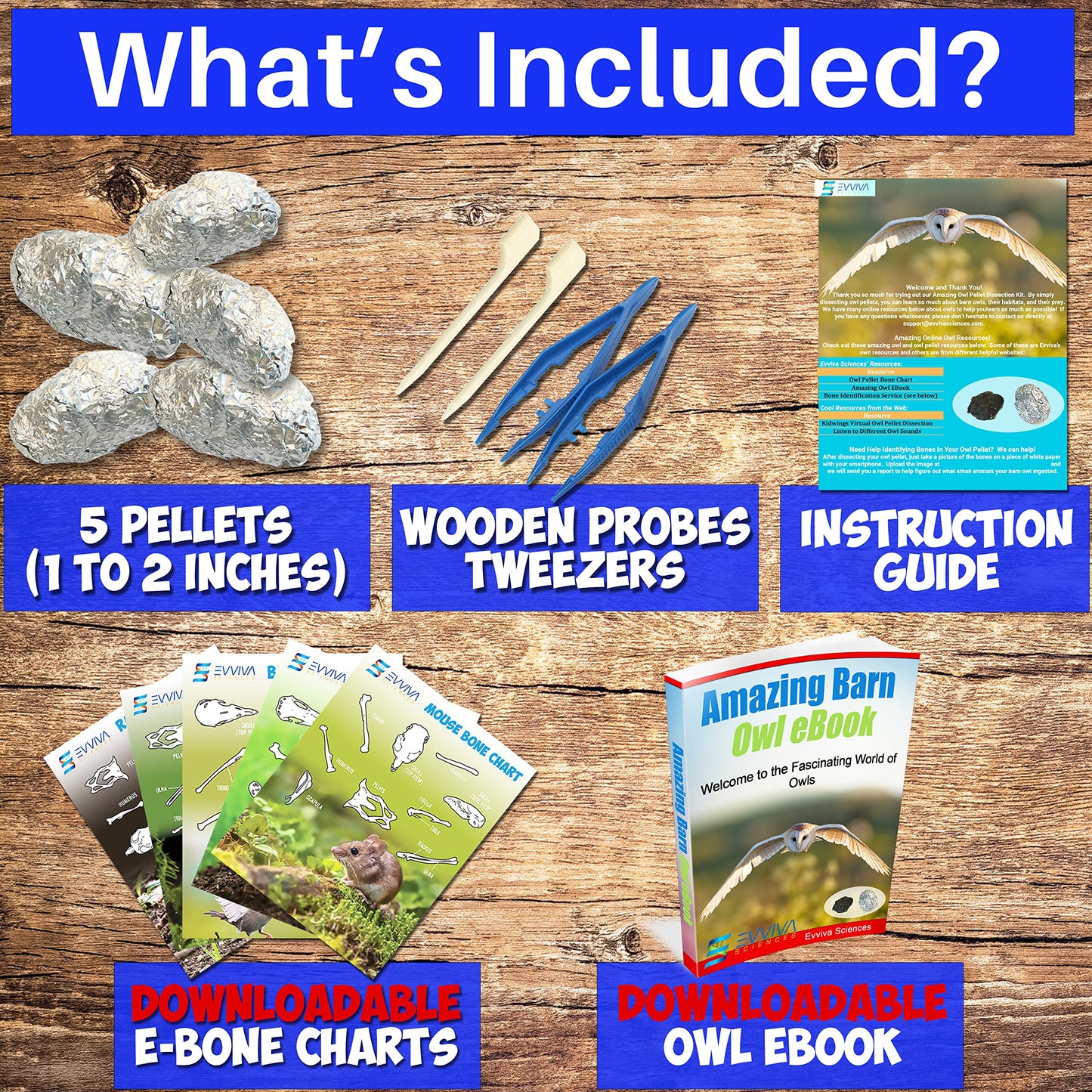 Amazing Owl Pellet Dissection Kit – 5-Piece Pellet Set for Science Lab Projects – w/Tweezers and Wooden Probes – Ideal for Science Projects – Barn Owl eBook Included - Intended for Ages 15 & Older